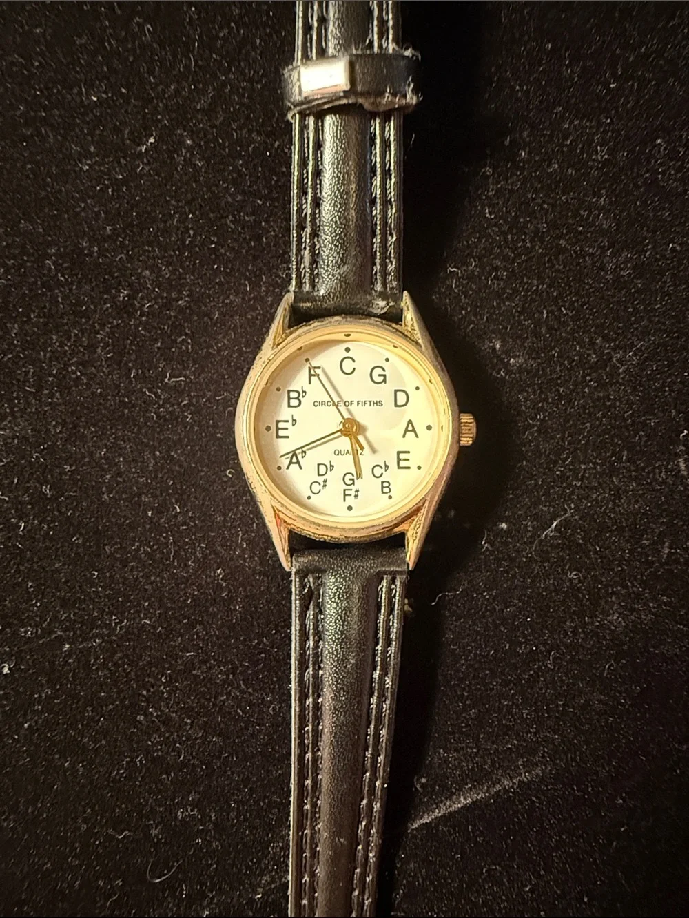 Circle of Fifths Gold-Tone Watch with Black Leather Strap Size 6.5”